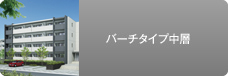 バーチタイプ